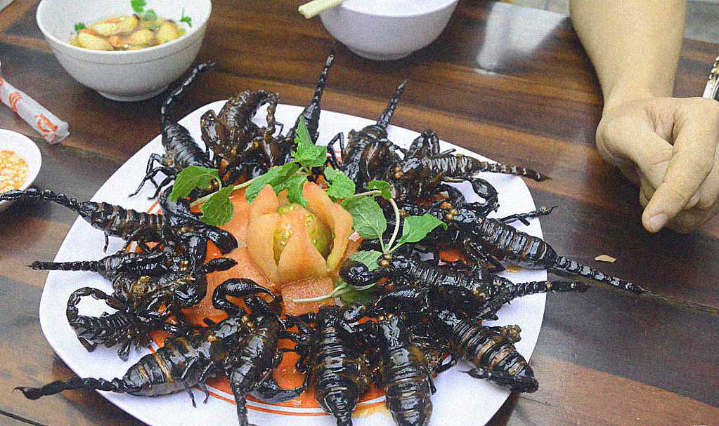 piatto disgustoso di insetti vietnamita
