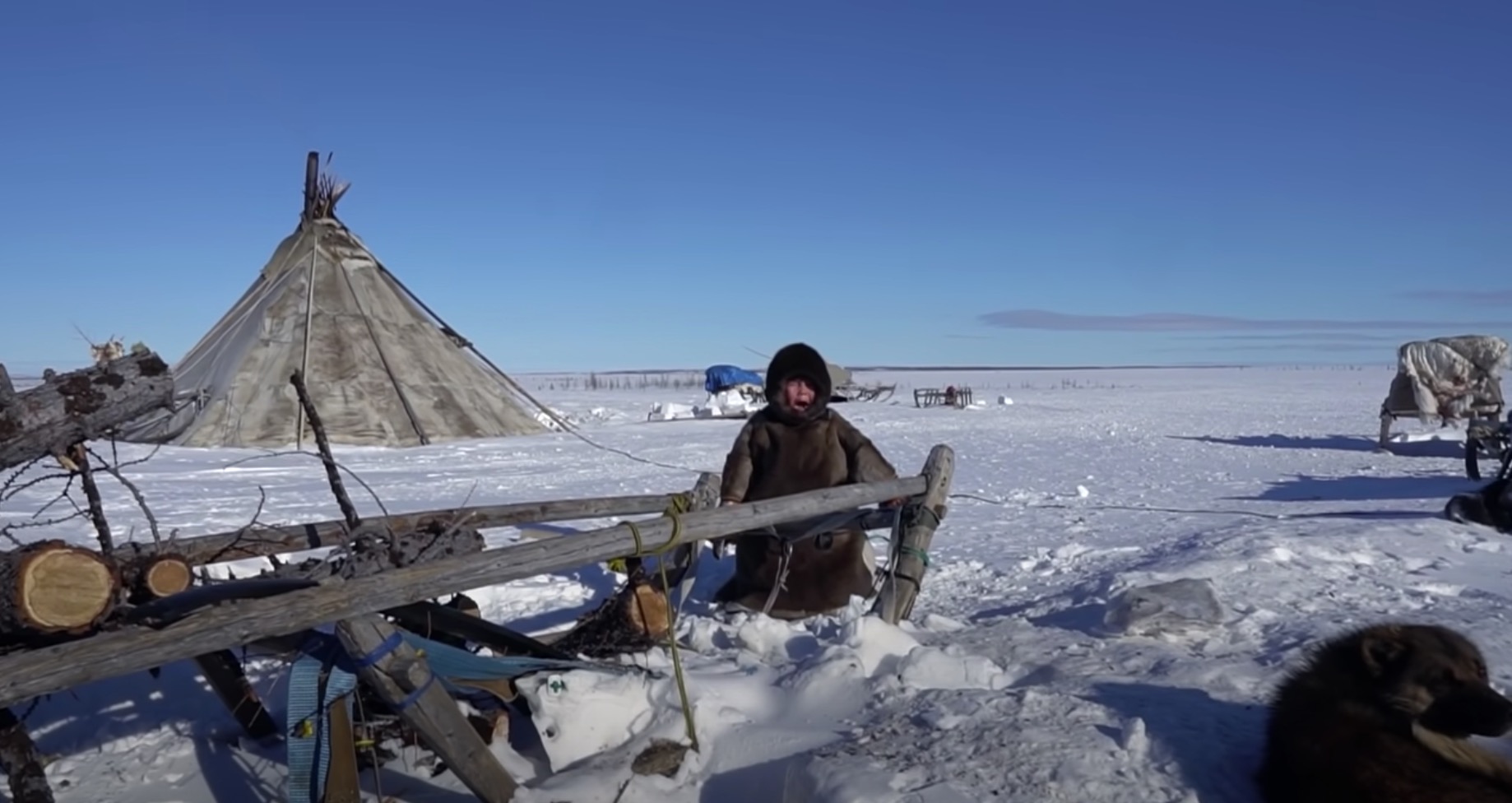 nomadi Tundra siberiana