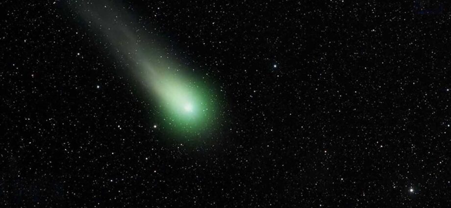 stella cometa C/231 P1